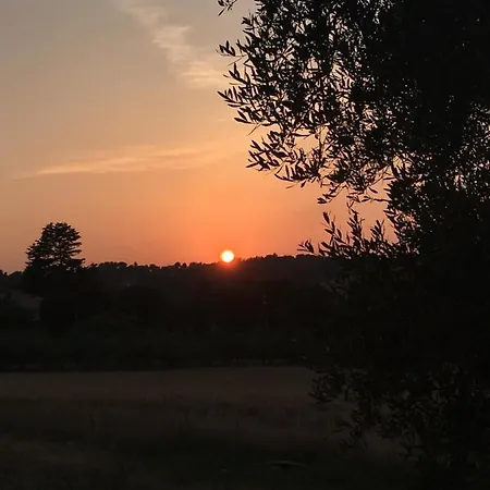 La Goiaba Nocleg ze śniadaniem
