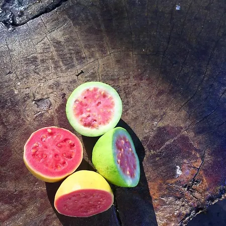 La Goiaba Frühstückspension 4*