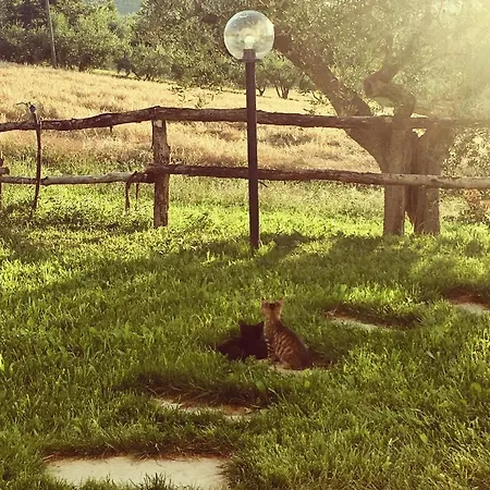 La Goiaba Alojamento de Acomodação e Pequeno-almoço