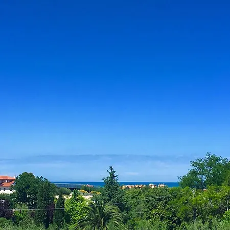 La Goiaba 4* Senigália