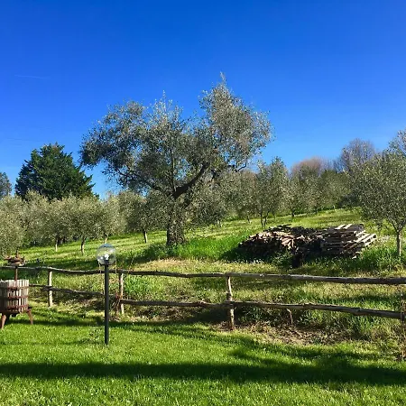 Frühstückspension La Goiaba Senigallia