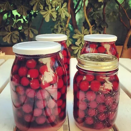 Alojamento de Acomodação e Pequeno-almoço La Goiaba