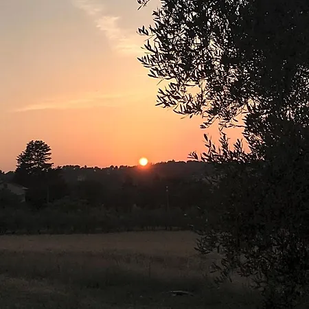 La Goiaba 4* سينِغاليا