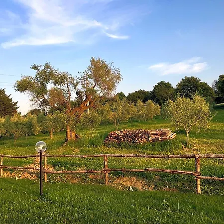 La Goiaba 4* سينِغاليا