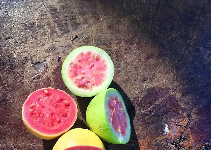 La Goiaba Panzió 4*