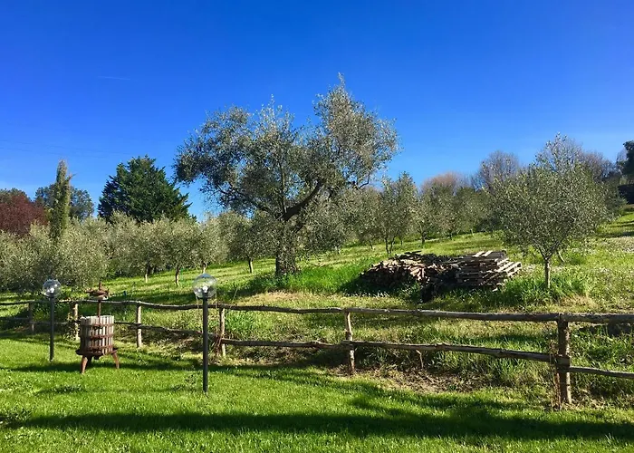 Panzió La Goiaba Senigallia